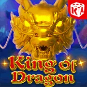 Các loại Cookie khác nhau được sử dụng bởi 88win đăng nhập